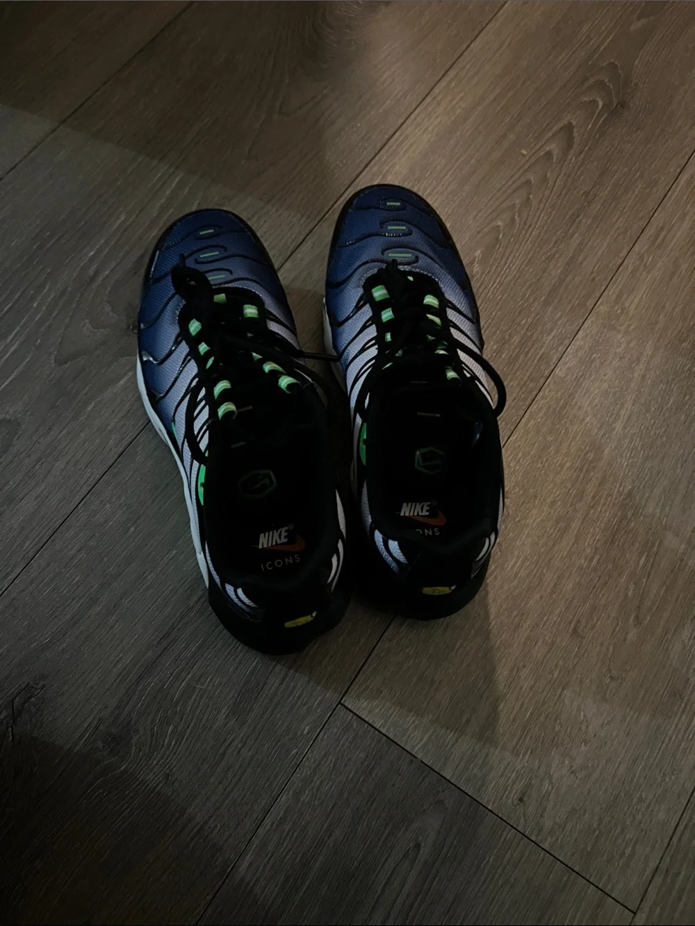 Nike Air Max Plus 'Icons - Black / Blue / Scream Green